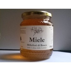 Il Tabarro Miele Millefiori di Bosco - 1Kg